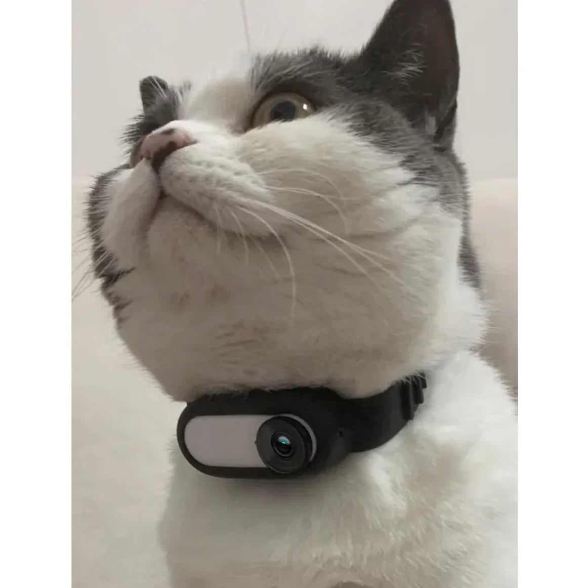 Pet POV Collar Camera – Indoor/Outdoor Wireless Video for Dogs & Cats