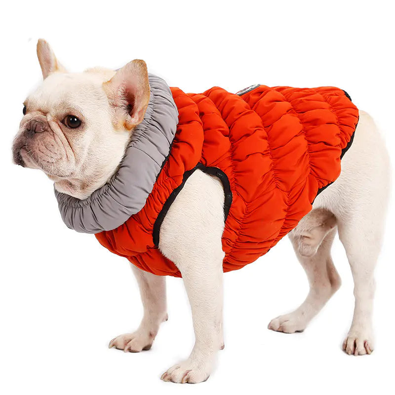 Durable Dog Jacket – Stylish, Warm & Practical Autumn/Winter Coat