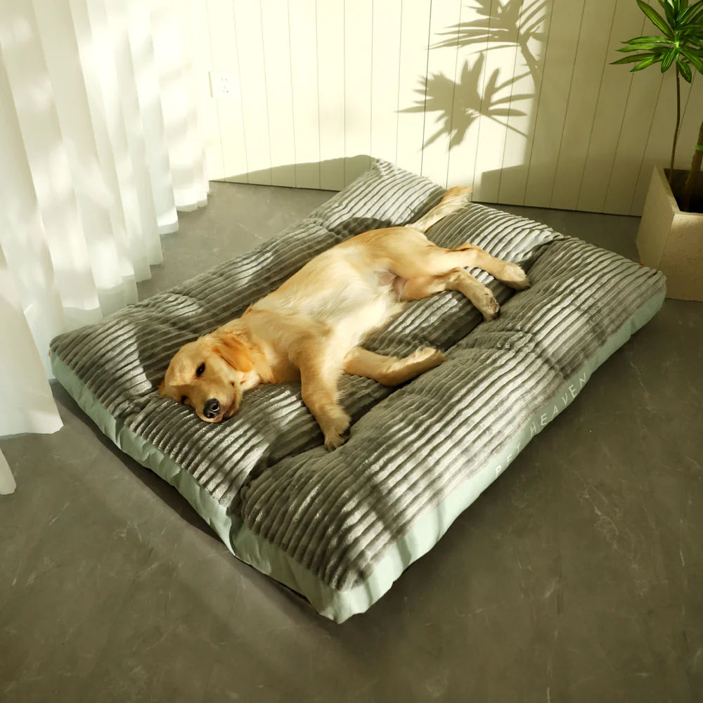 Washable Pet Bed & Travel Mat – Cozy, Durable & Easy-to-Clean