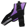 No Pull Reflective Dog Harness Vest
