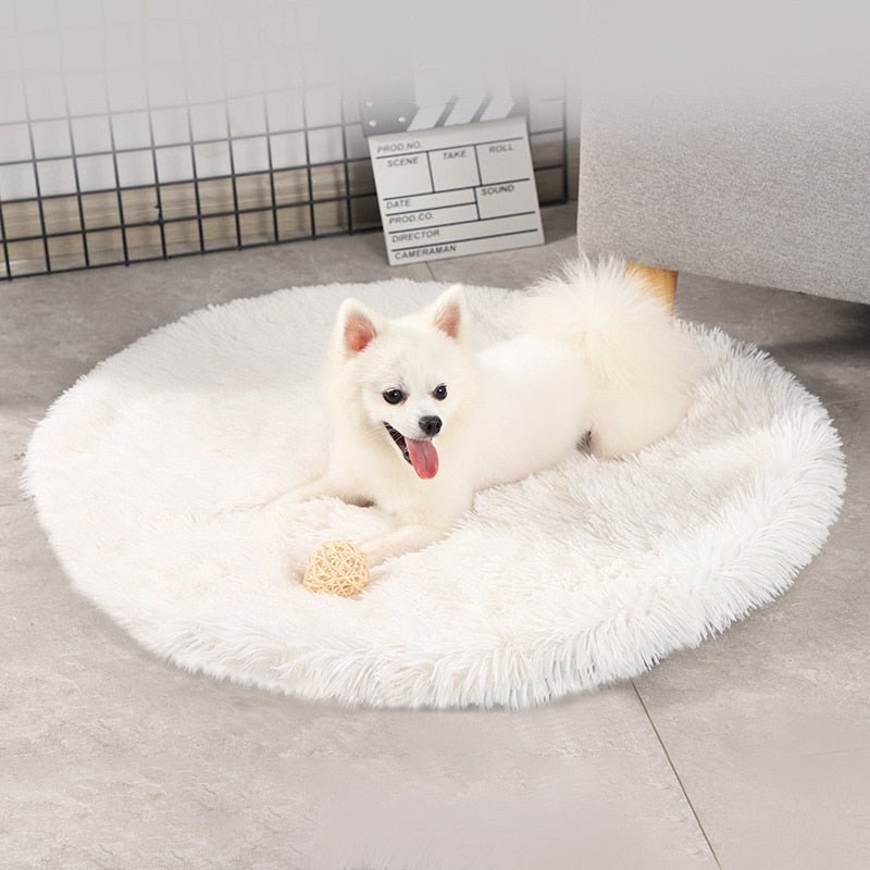 Dog Comfy Flat Bed in the white variant - Pawtopia