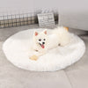 Dog Comfy Flat Bed in the white variant - Pawtopia