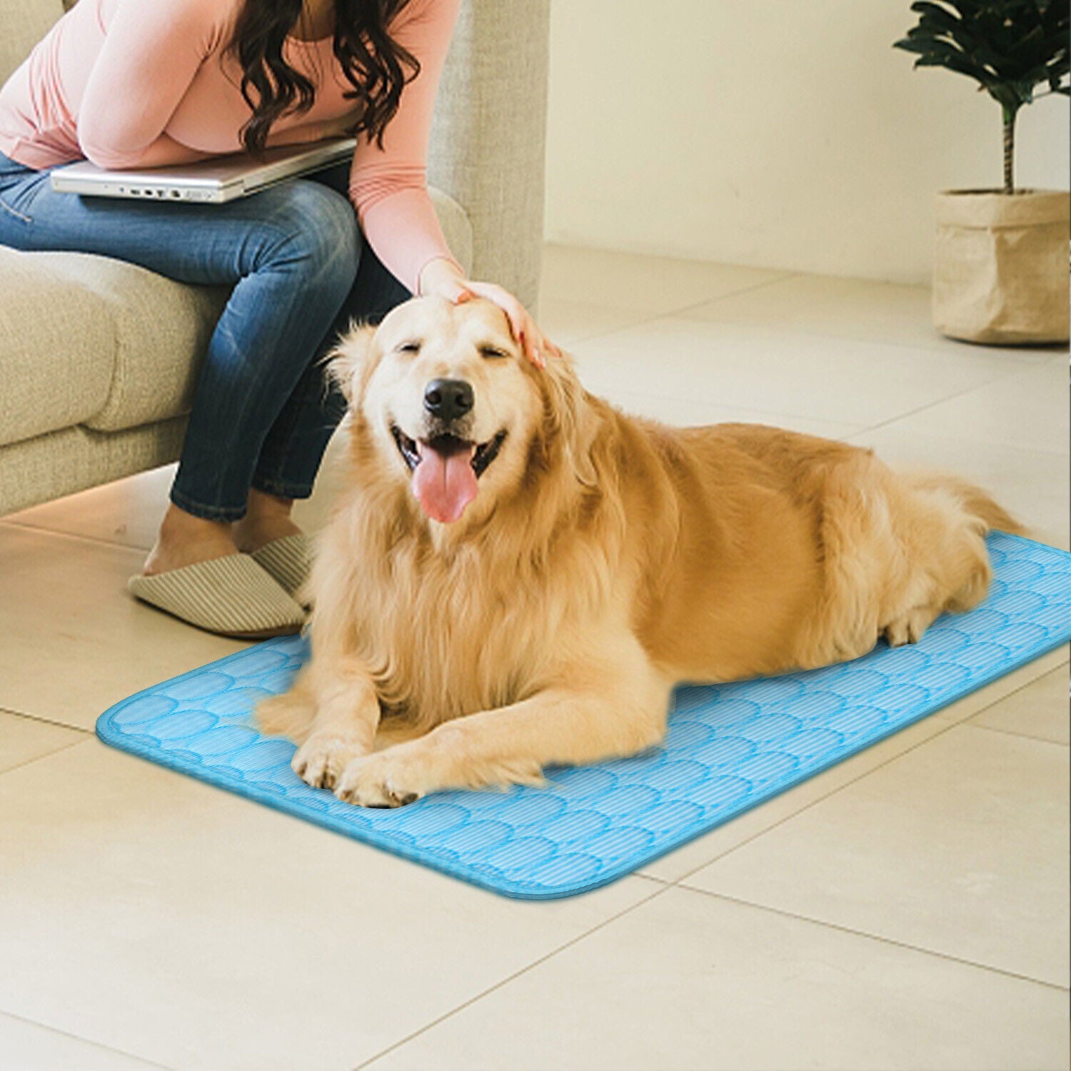 Dog Cooling Mat with a GOLDEN RETRIEVER sitting on it - Pawtopia