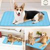 Dog Cooling Mat is perfect for keeping your pup cool and hydrated - Pawtopia