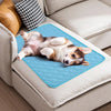 Dog Cooling Mat with a cute pup sitting on it - Pawtopia