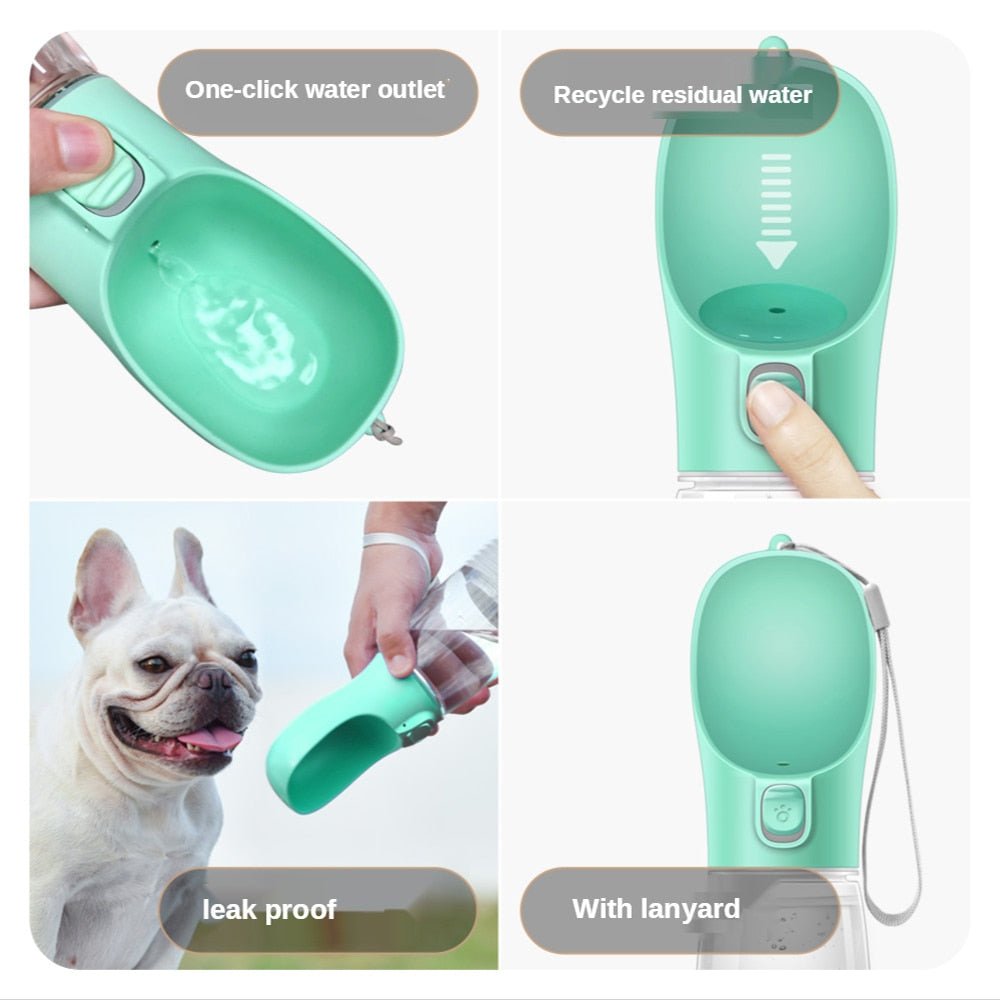 Doggy Water Bottle is great because it is portable and compact - Pawtopia