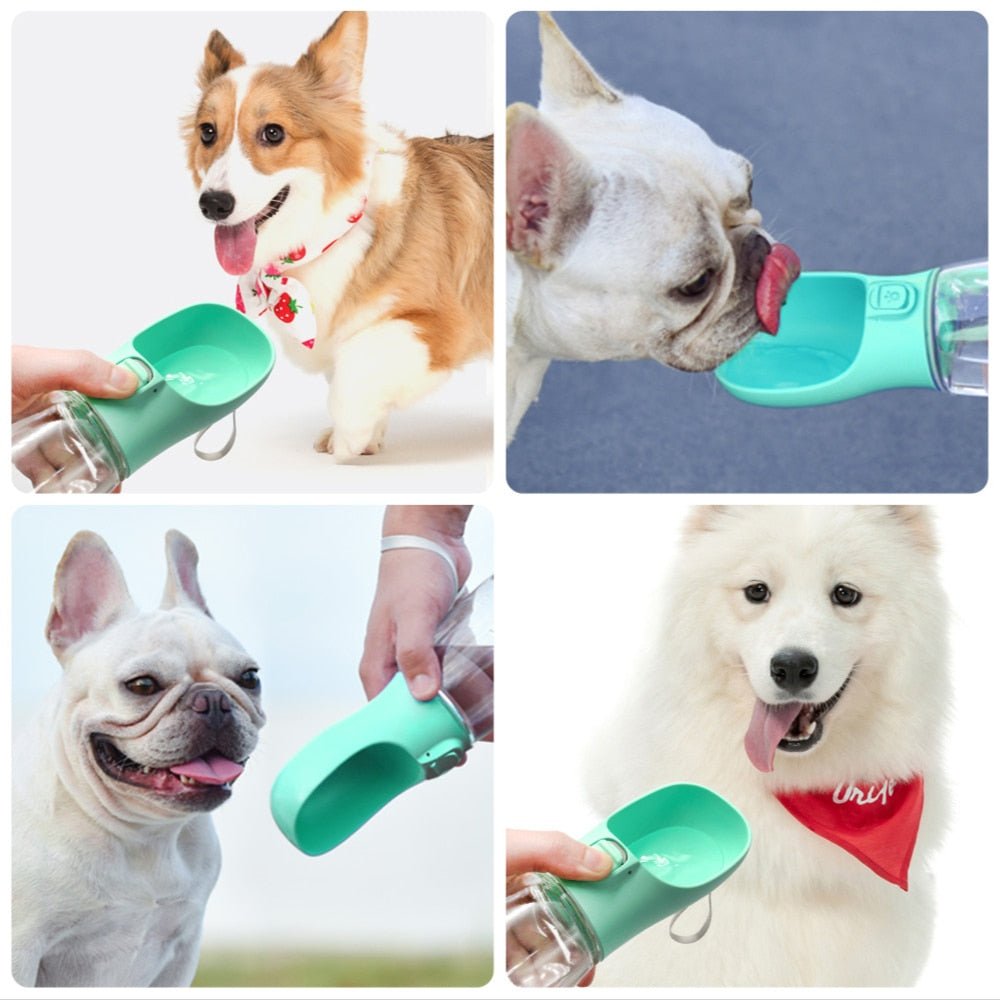 Help your dog anywhere, everywhere - the Doggy Water Bottle is portable and compact - Pawtopia