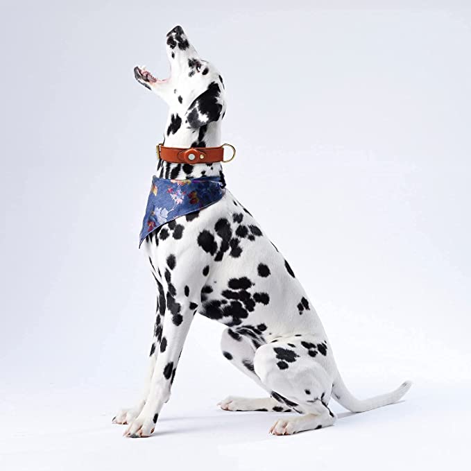 Leather Air Tag Collar - Pawtopia
