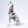 Leather Air Tag Collar - Pawtopia