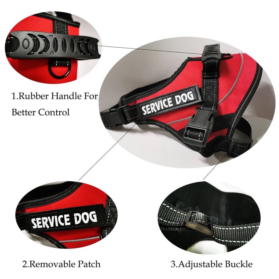 Personalised No-Pull Harness - Pawtopia