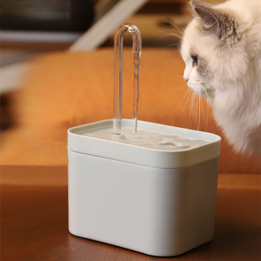 Pet Water Dispenser - Pawtopia