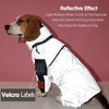 Reflective Dog Raincoat - Pawtopia