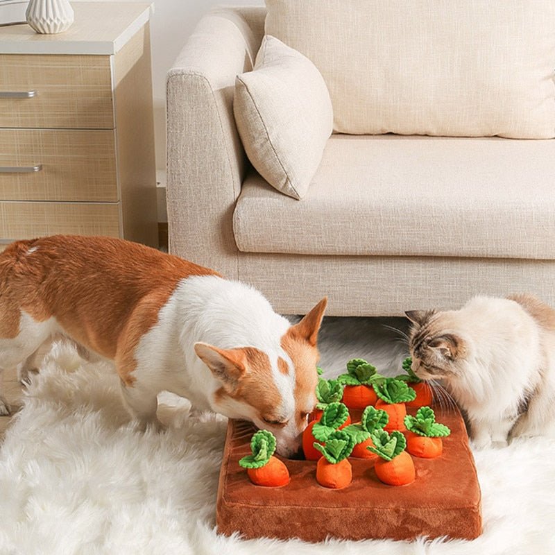 Vegetable Chew Pet Toy - Pawtopia